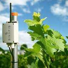 SmartAGRI de Sinafis - Un capteur pour surveiller les conditions du sol, de  l'air et des feuilles