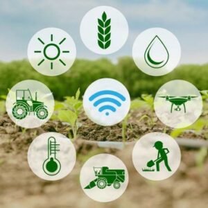 La catégorie Capteurs et Objets connectés des outils numériques en agriculture